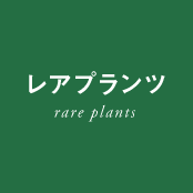 レアプランツ - rare plants
